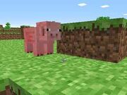 Minecraft pig