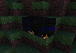 Xray block