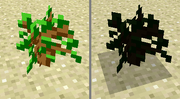 Tree comparison