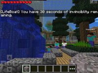 Multiplayer Realms