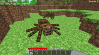 Araña original
