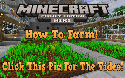 Minecraft Wiki Farming Animals Games - roblox horse valley wiki