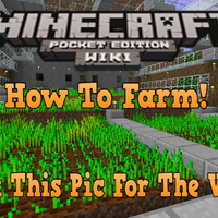 Farming Minecraft Bedrock Wiki Fandom