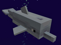 Dolphin  Minecraft Pocket Edition Wiki  FANDOM powered 