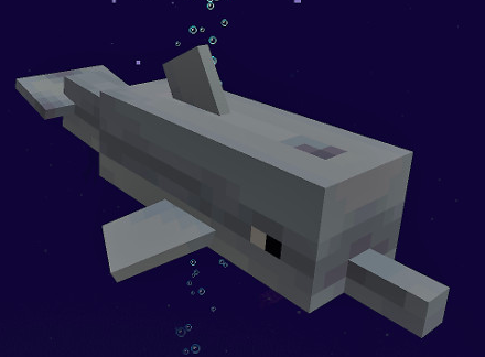 Dolphin Minecraft Pocket Edition Wiki FANDOM powered Dolphin Minecraft Pocket Edition Wiki FANDOM powered