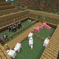 Animal Farming Minecraft Bedrock Wiki Fandom