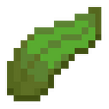 Kelp