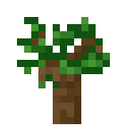 Dark Oak Sapling Minecraft Bedrock Wiki FANDOM Powered By Wikia   Latest