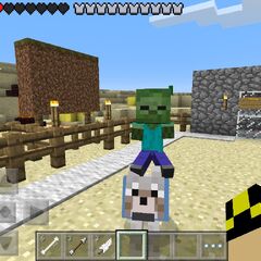 Jockey  Minecraft Bedrock Wiki  FANDOM powered by Wikia