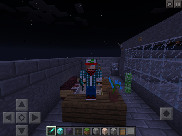 File:IMG 1339.png