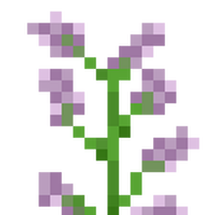 Flower/Gallery  Minecraft Bedrock Wiki  FANDOM powered 