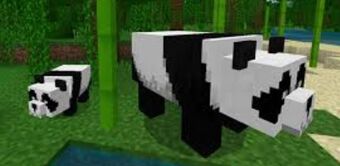 Panda | Minecraft Bedrock Wiki | Fandom