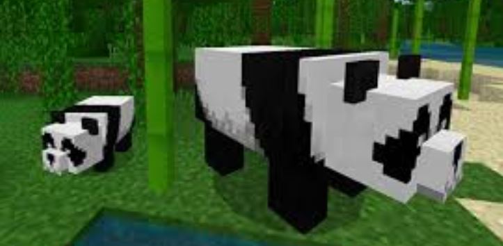 Panda  Minecraft Bedrock Wiki  FANDOM powered by Wikia