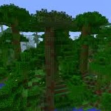 Biome Minecraft Bedrock Wiki Fandom