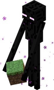 Enderman with Block