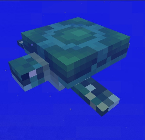 Turtle  Minecraft Pocket Edition Wiki  FANDOM powered by 