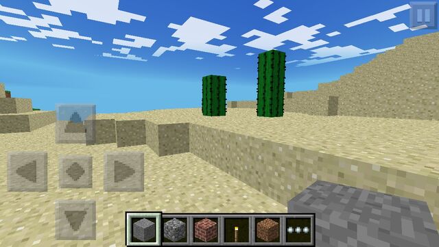 File:Desert biome.jpg