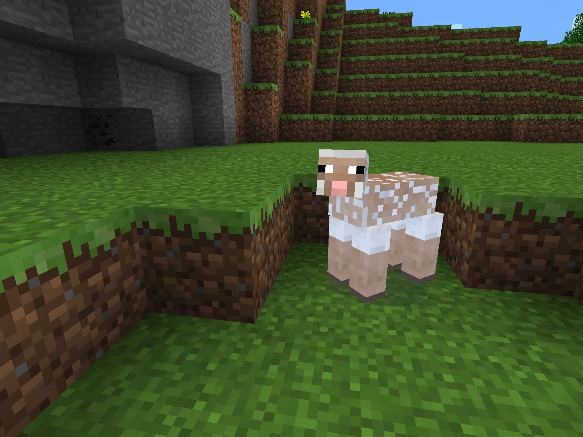 What is the title of this picture ? Image - Sheep Sheared.jpg | Minecraft Bedrock Wiki | FANDOM powered by