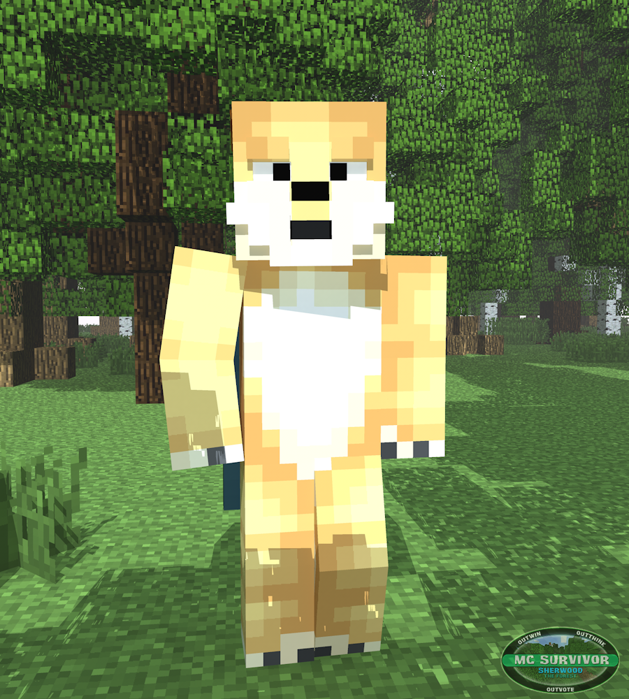 RqmenWingsMCHDYT Minecraft Survivor Wikia FANDOM RqmenWingsMCHDYT Minecraft Survivor Wikia FANDOM
