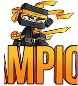 Champions assasin