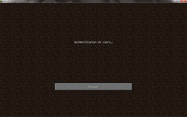 Fichier:Image serveur.png