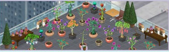 Screen480x480plantas