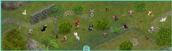 Screen480x480pets