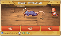 Rat
