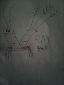 Ray15