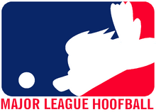 Hoofbol,etc