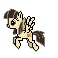 FlyWildfire