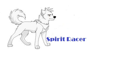 Spirit Racer