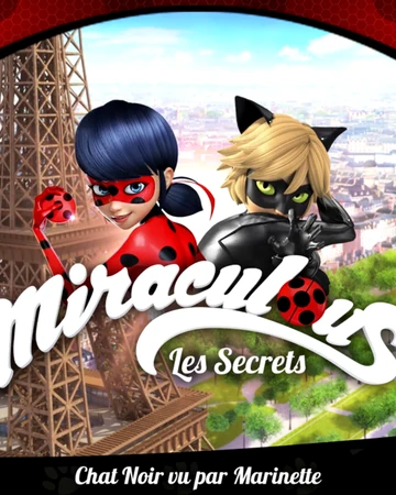 Chat Noir Vu Par Marinette Wikia Miraculous Ladybug Fandom