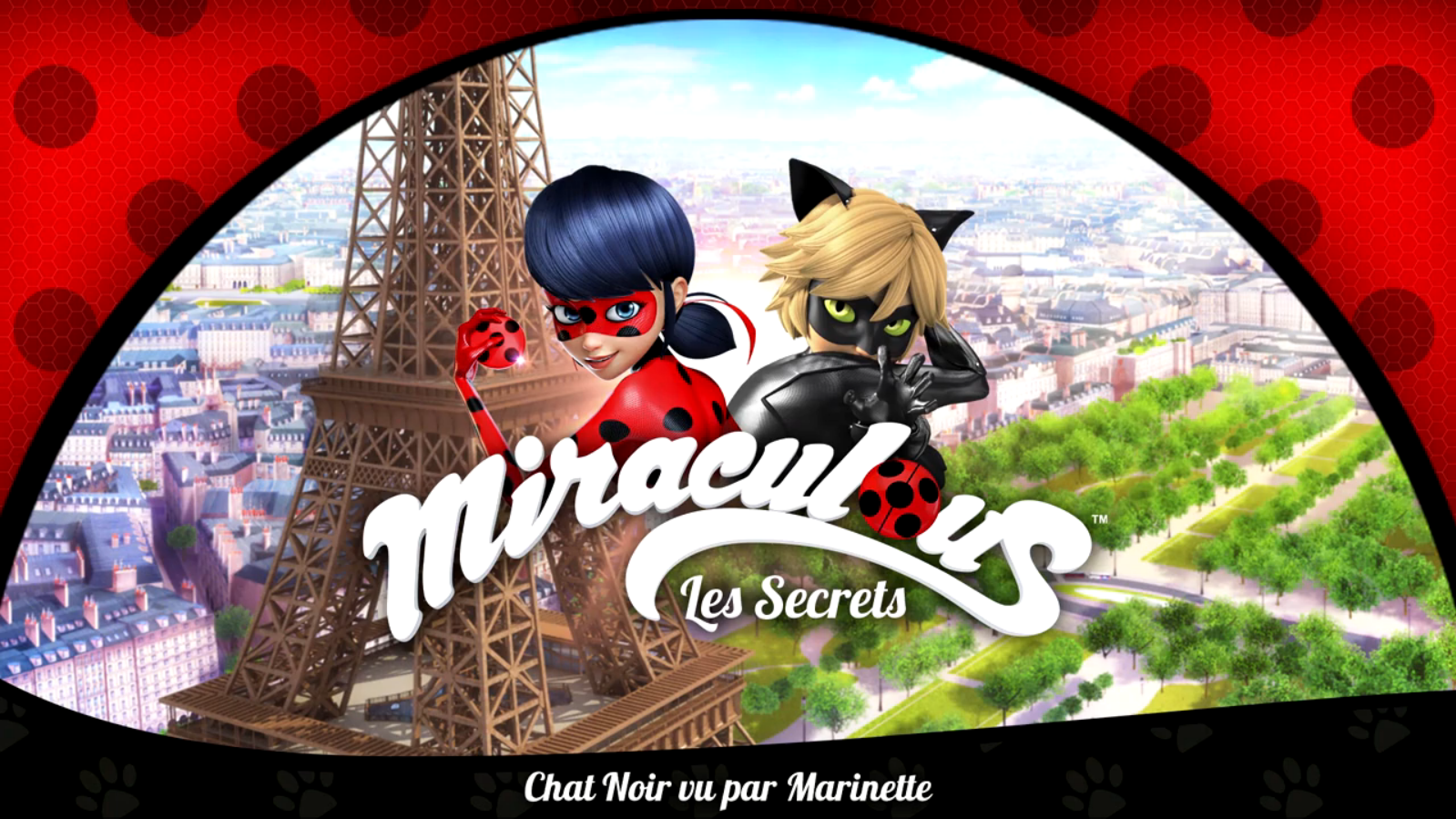 Chat Noir Vu Par Marinette Wikia Miraculous Ladybug Fandom