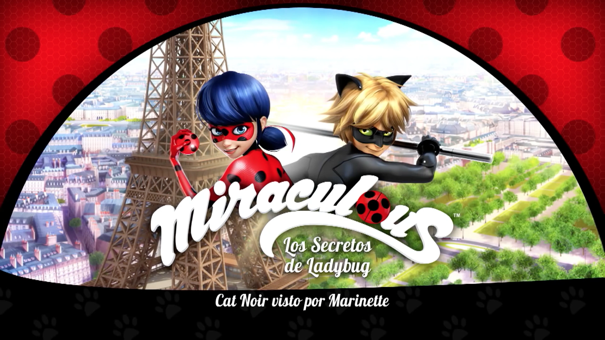 Cat Noir Visto Por Marinette Wikia Miraculous Ladybug Fandom