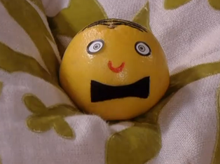 Gordon the Grapefruit