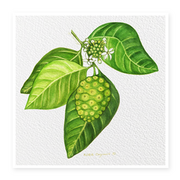 Noni