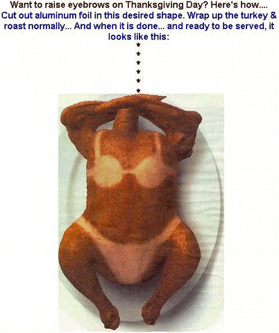 File:TurkeyTan.gif