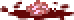 Brain