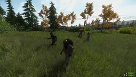 NEW players