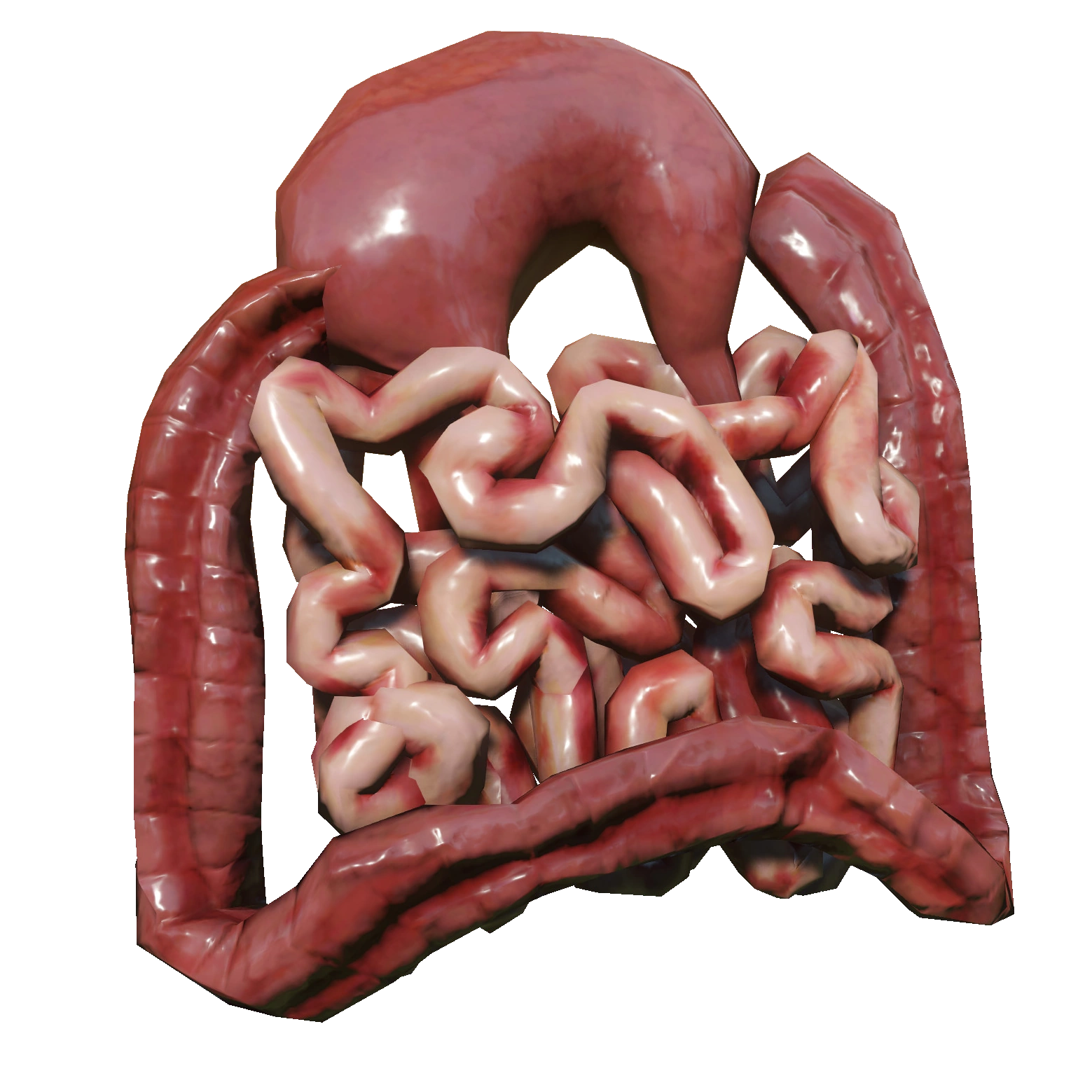 Animal Guts Miscreated Wiki Fandom