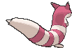 Furret xy back