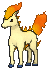 Ponyta XY