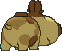 Hippopotas XY back