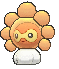 Sunny Castform XY