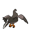 Staravia XY back