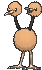 Doduo XY