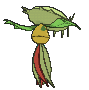 Carnivine XY back