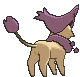 Delcatty XY back