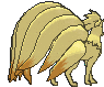 Ninetales XY back